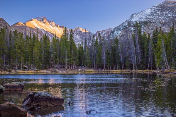 Colorado Family Vacation