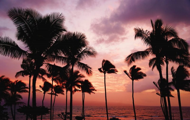 Romantic Maui Honeymoon Vacation Idea