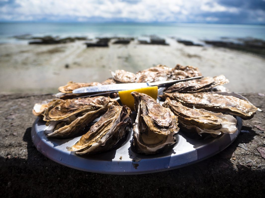 Best Beachfront Restaurants In Panama City Beach, Florida
