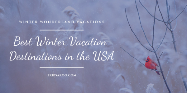 best winter vacation destinations in the USA