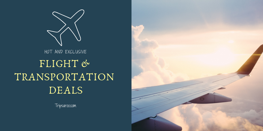 Flight Deals