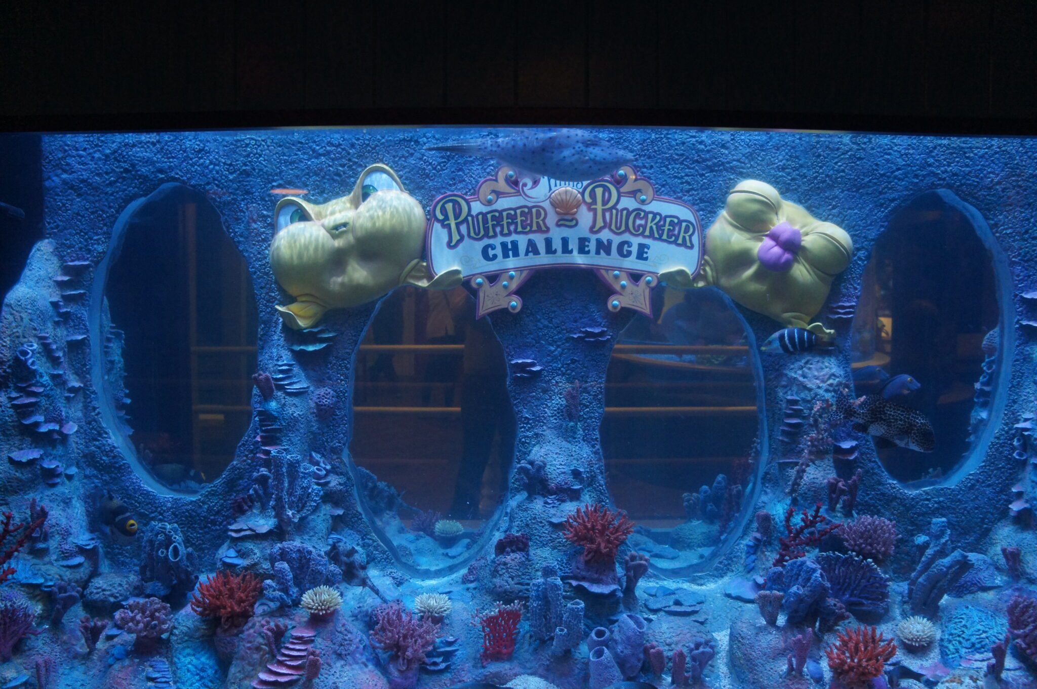 Branson Aquarium Photos Aquarium at the Boardwalk