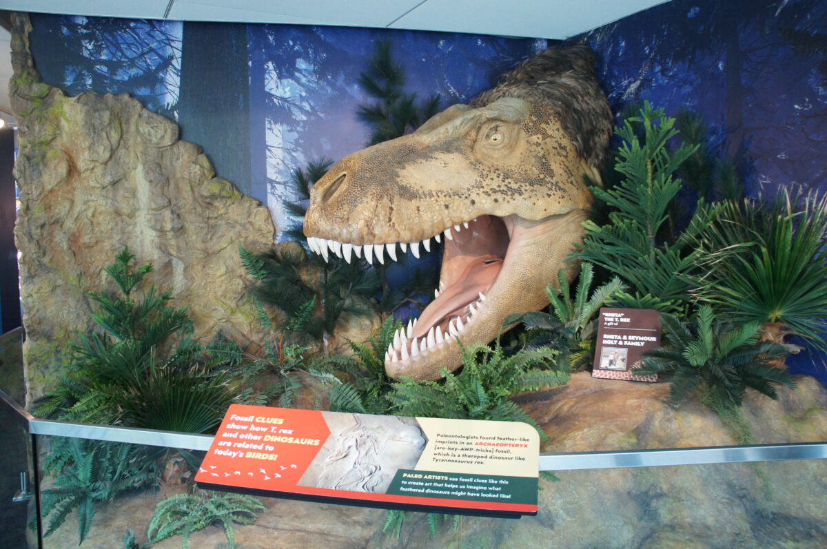 Childrens Museum Indianapolis