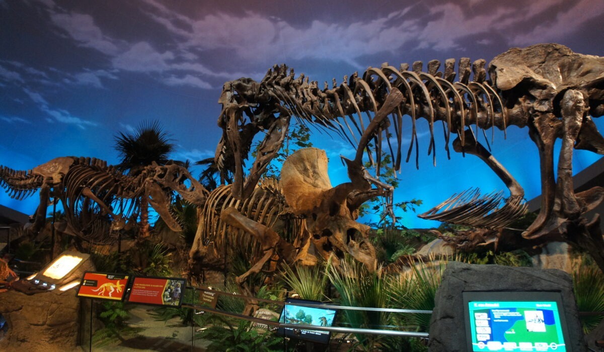 Childrens Museum Indianapolis