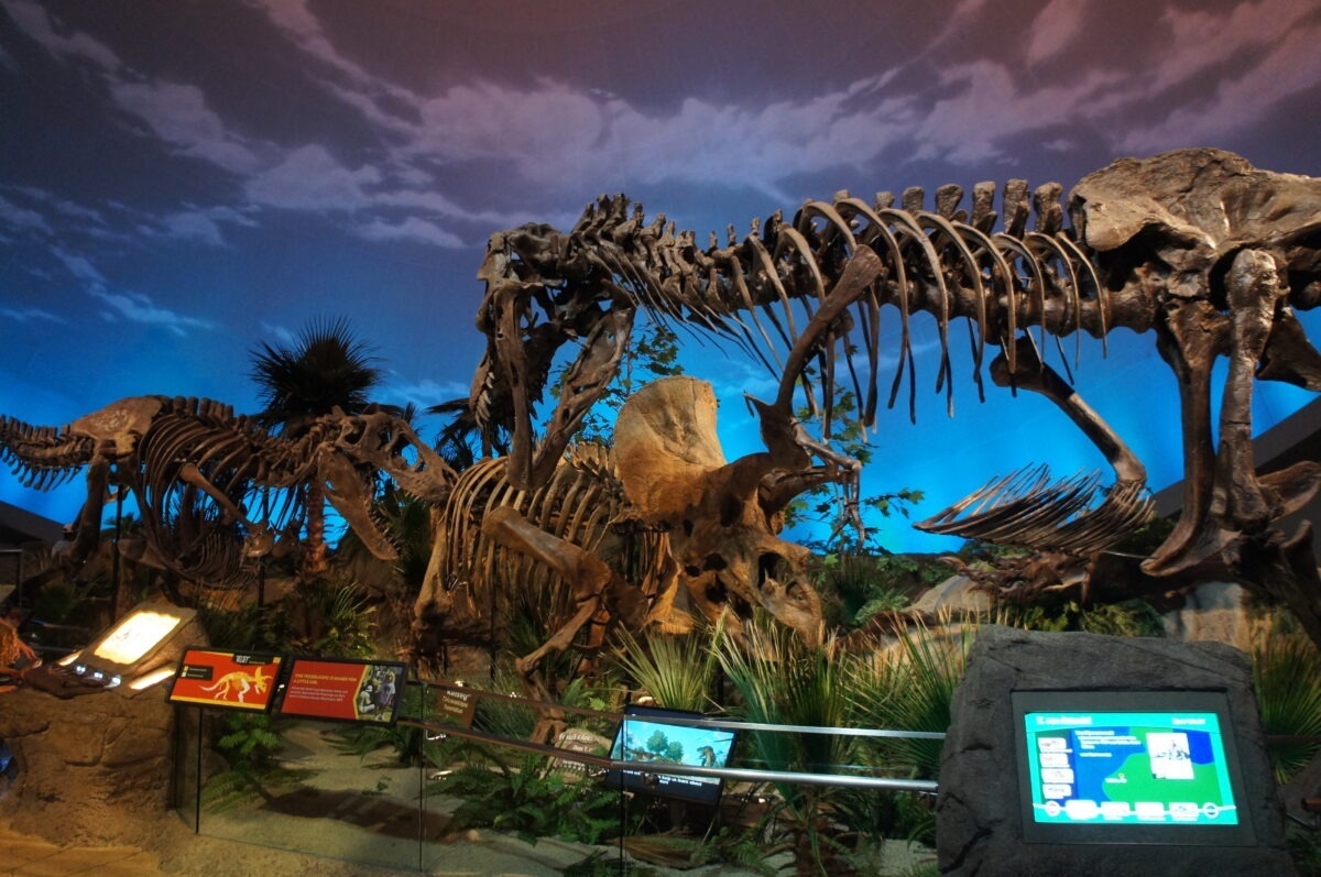 Childrens Museum Indianapolis