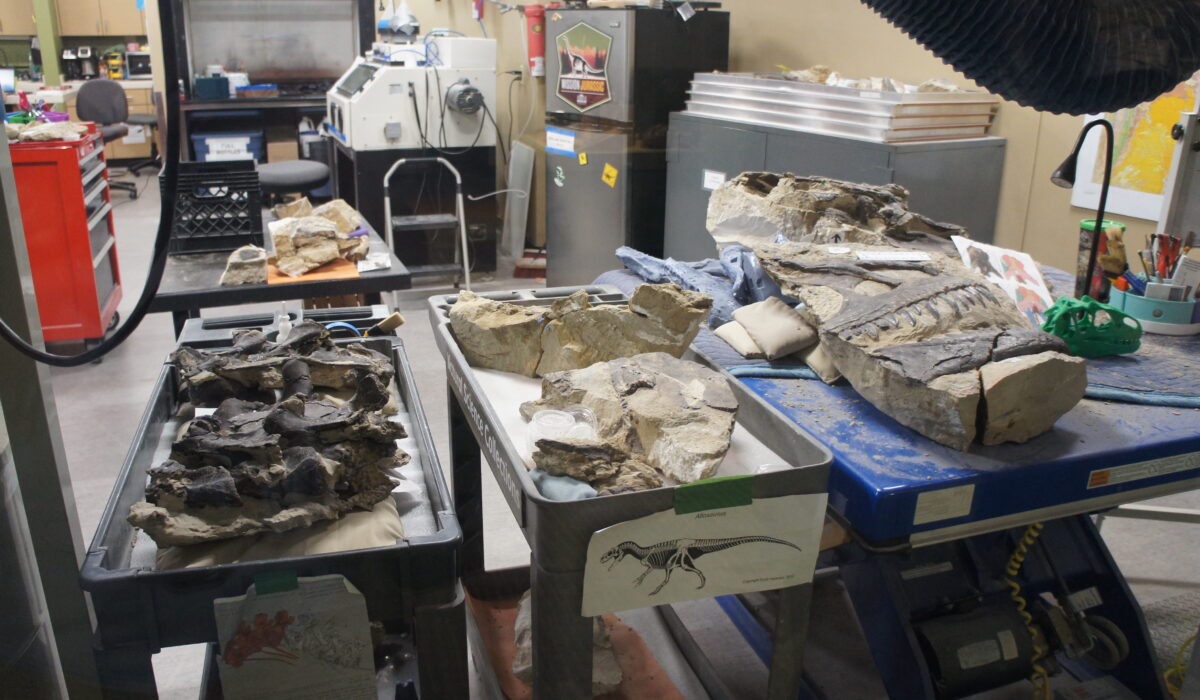 Childrens Museum Indianapolis