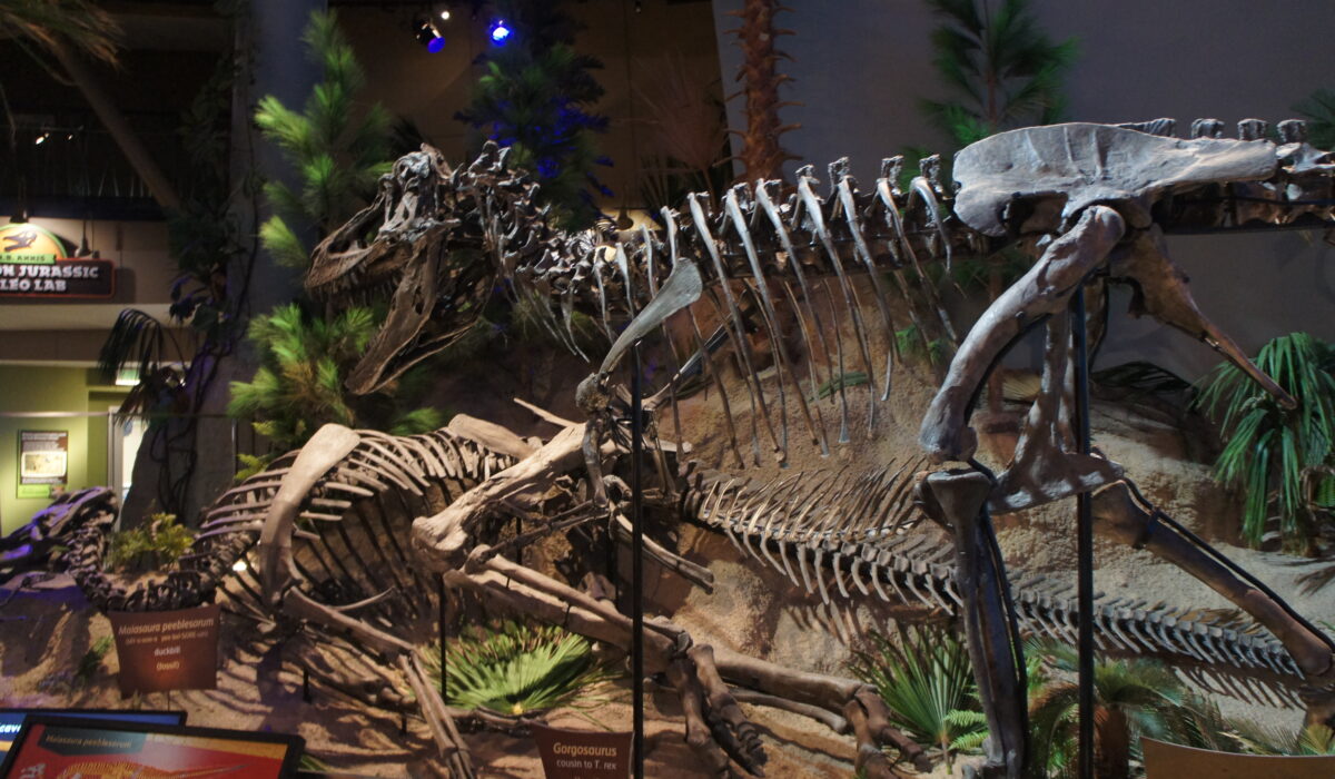 Childrens Museum Indianapolis