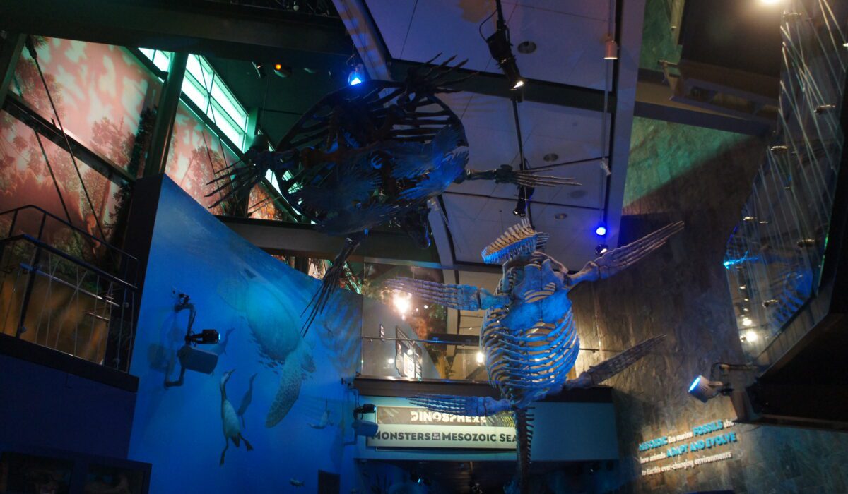 Childrens Museum Indianapolis