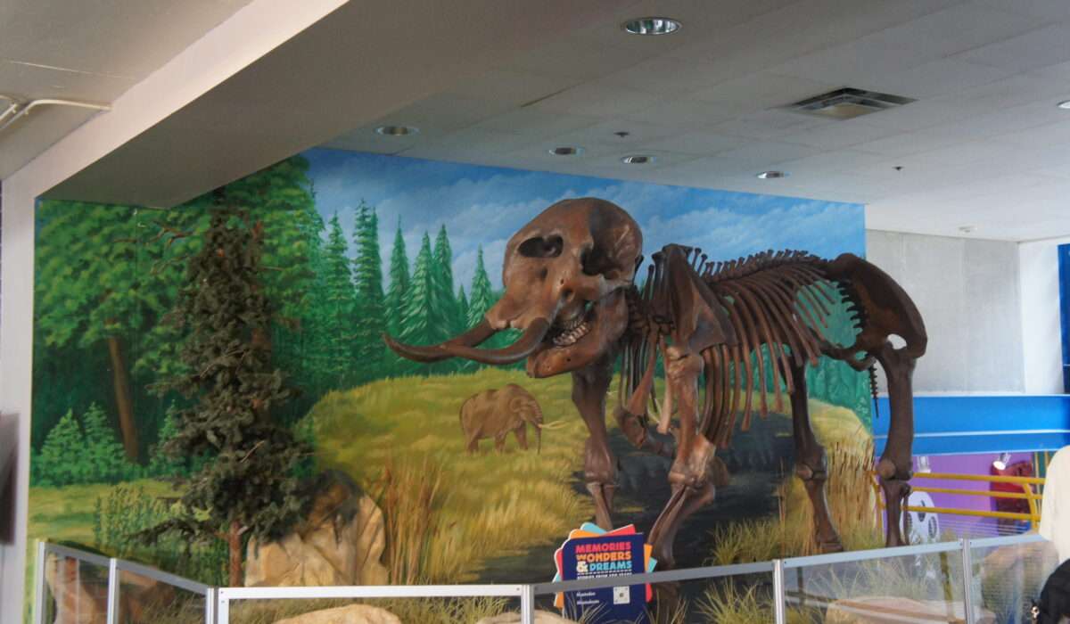 Childrens Museum Indianapolis