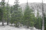 Colorado Family Vacation