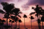 Romantic Maui Honeymoon Vacation Idea