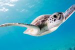 San Diego Vacation Itinerary